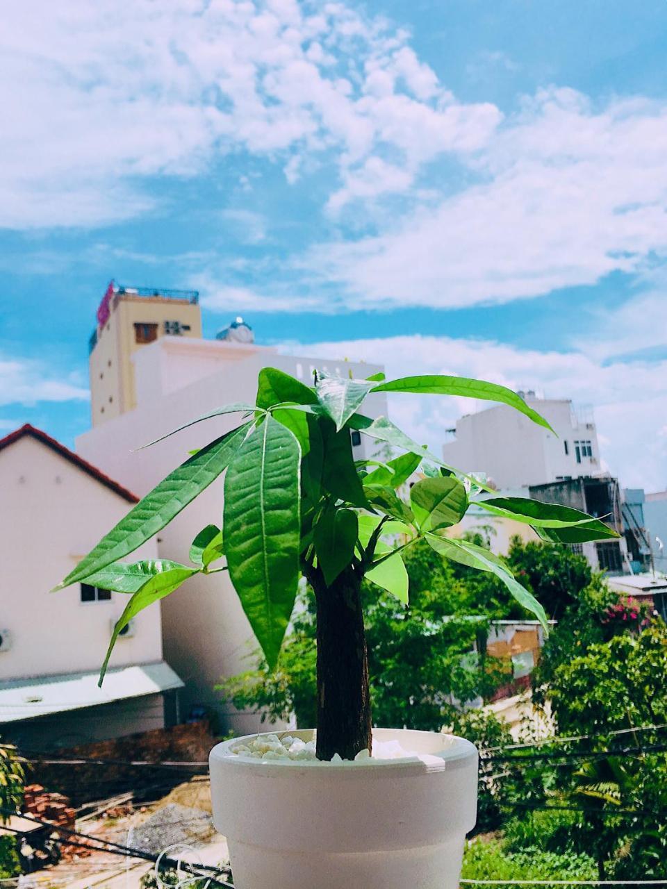 Huha Home - Da Nang Exteriör bild